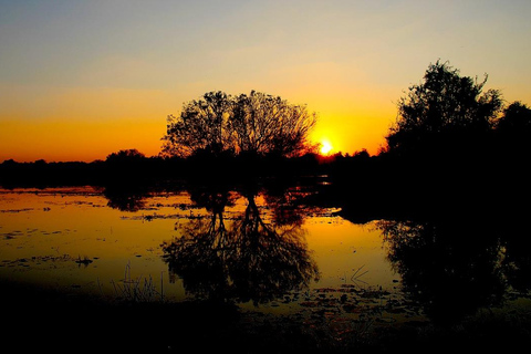 From Sigiriya: Anuradhapura Sacred City Tour With Guide