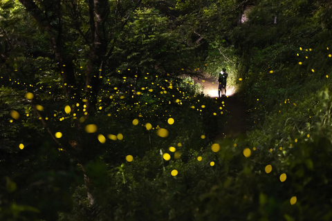 Taipei: Yangmingshan/Wulai Firefly Adventure Wulai Join-in Tour (incl. Aboriginal Culture & Cable Car)
