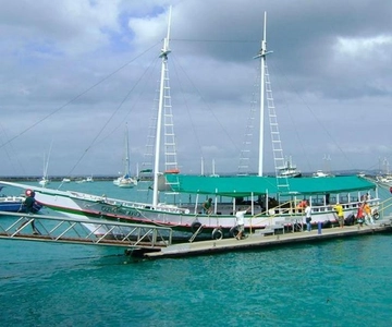 Desde Salvador: Viaje en Goleta a Ilha dos Frades