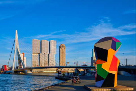 Lo mejor de Rotterdam con un local: Visita a pie y crucero en barco