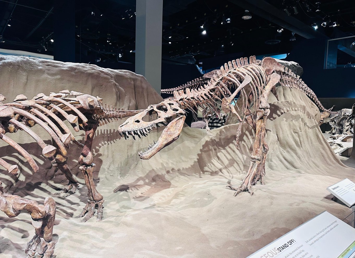 Badlands-tur: Drumheller med museum, hoodoos og dinosaurer