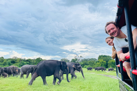 Minneriya National Park: Elephant Watching Safari with Guide From Dambulla: Minneriya National Park Jeep Safari