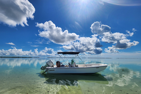 Lower Florida Keys: Private Boat Tour with Local Captain Private Eight-Hour Eco-Tour & Sandbar Combination Charter