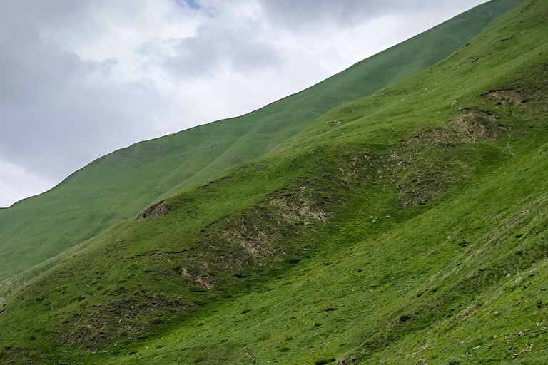 One-day bike tour in the Truso Valley