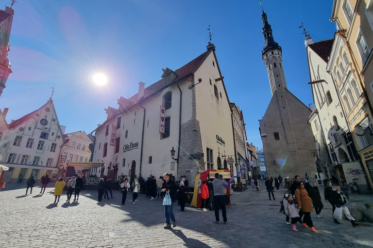 Helsinki: nach Tallinn VIP-Tagestour mit Fähre und Tour