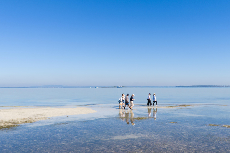 Stradbroke Island: First Nations Oyster Farm Tour & Tasting