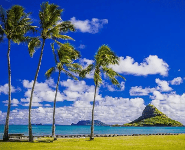 From Waikiki: Oahu Circle Island Tour