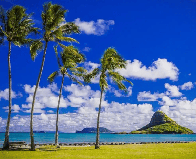 Depuis Waikiki : Tour de l&#039;île d&#039;Oahu
