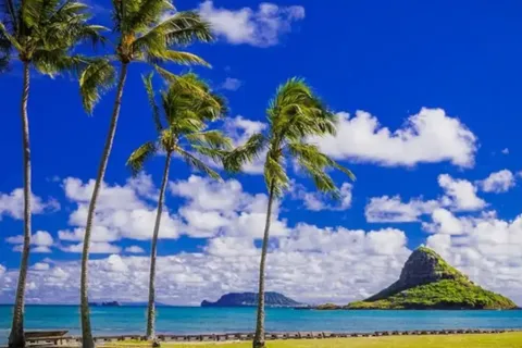 From Waikiki: Oahu Circle Island Tour