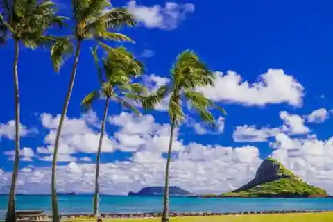 From Waikiki: Oahu Circle Island Tour