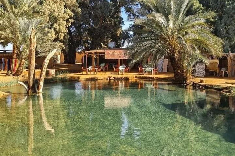 Vanuit Djerba: overnachting, zonsopgang en nacht in een tent in de woestijnVanuit Djerba: zonsondergang, zonsopgang en een nacht in een tent in de woestijn