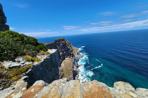 Kapstaden: Simning med pingviner Boulders Beach cape point