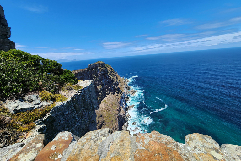 Cape Town:Swimming with Penguins Boulders Beach cape point