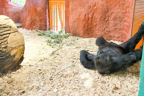 Praga: Guia de áudio do zoológico de Praga com ingresso eletrônico