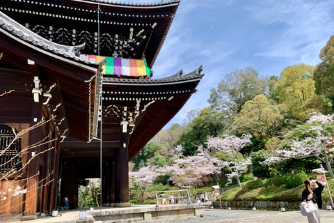 Kyoto: Tour Privado Cultural e Histórico en Español