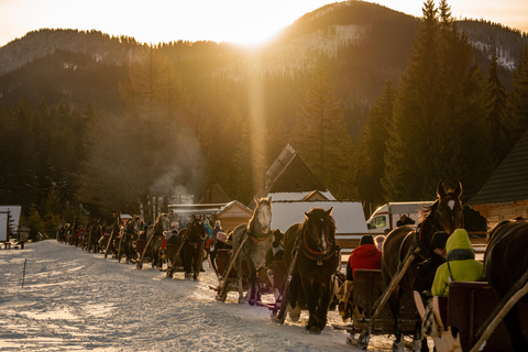 Zakopane: Schlittenfahrt im Chochołowska-Tal mit Lagerfeuer