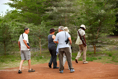 Séjour safari de 4 jours en Tanzanie à Noël et au Nouvel AnSéjour de 4 jours en Tanzanie pour Noël et le Nouvel An