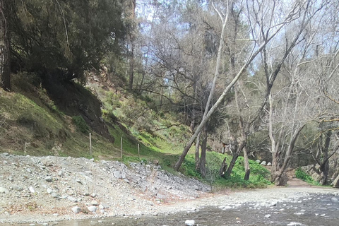 Paphos: Troodos Mountains Villages Tour with Wine Tasting