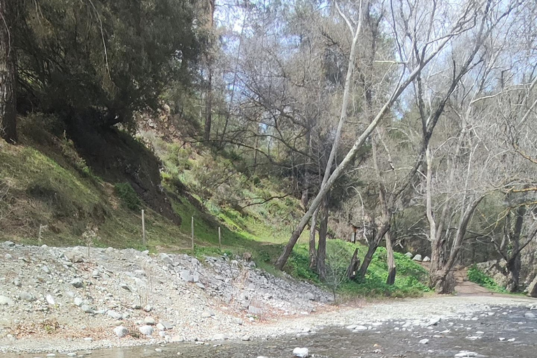 Paphos: Troodos Mountains Villages Tour with Wine Tasting