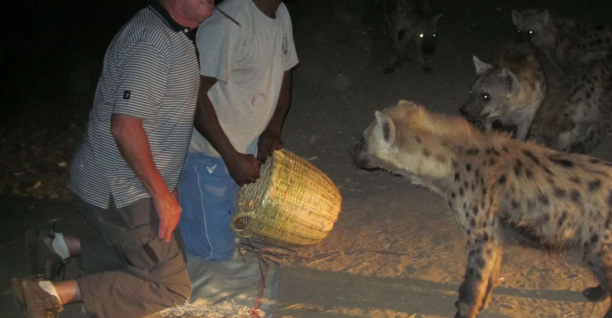 7dys/6nts tour combinado al valle de Harar y Omo - Hizvo