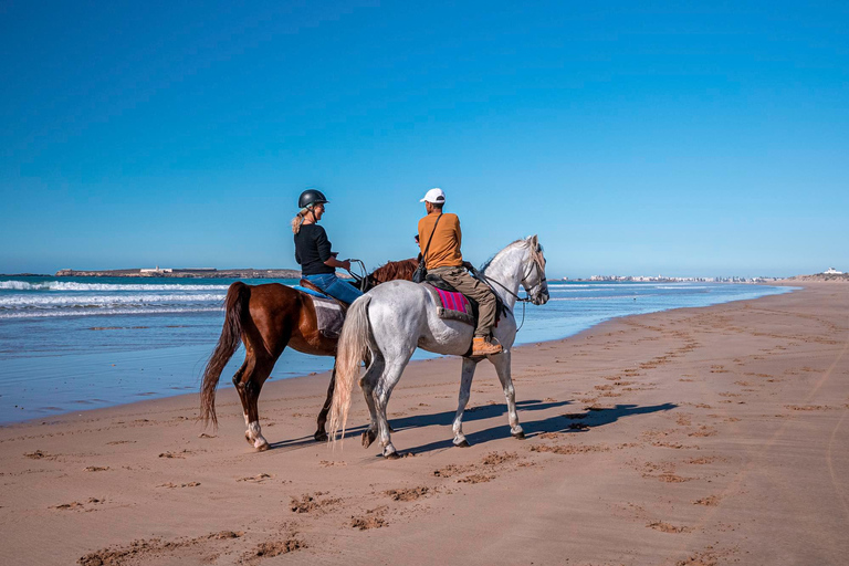 Paphos: 1.5-Hr Sea Caves Horseback for Experienced Riders