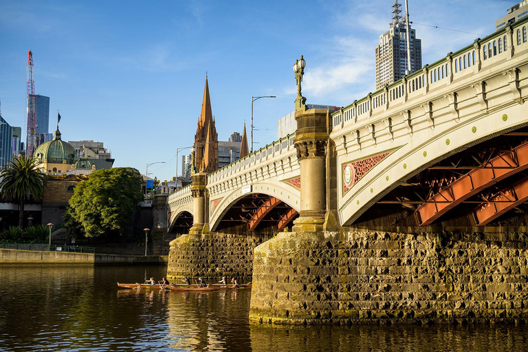 Melbourne: Panoramiczna wycieczka autobusowa City Highlights