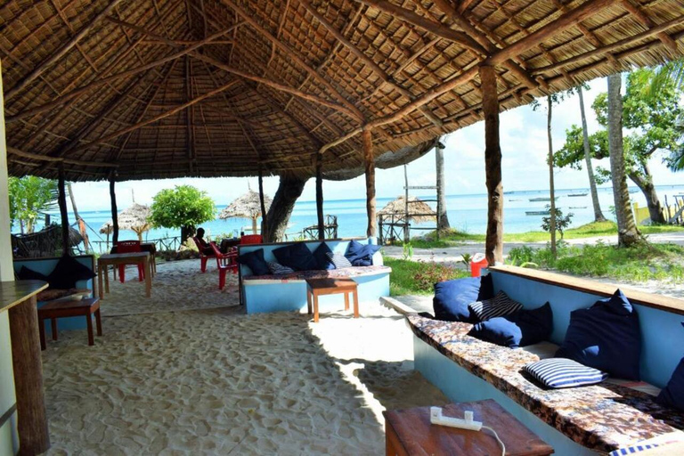 Swim with Whale Sharks in Mafia Island Flight from Zanzibar Mafia Whale Shark Adventure – Day Trip (No Flights Included)