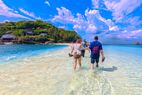 Koh Tao: Snorkel with Turtles at Nangyuan with Fewer Crowds