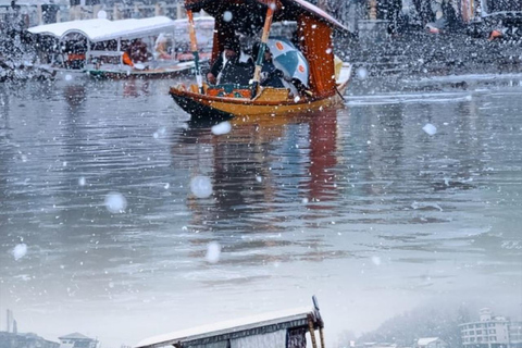 Kashmir: 5-Day Private Tour with Accommodation