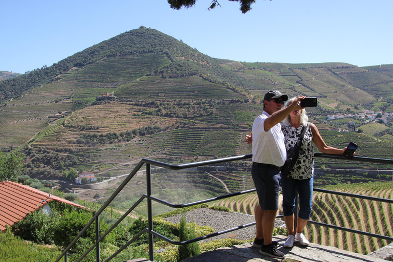 Porto: Private Transfer to Douro Valley up to 4 Stops 4-Stops (One-way trip)