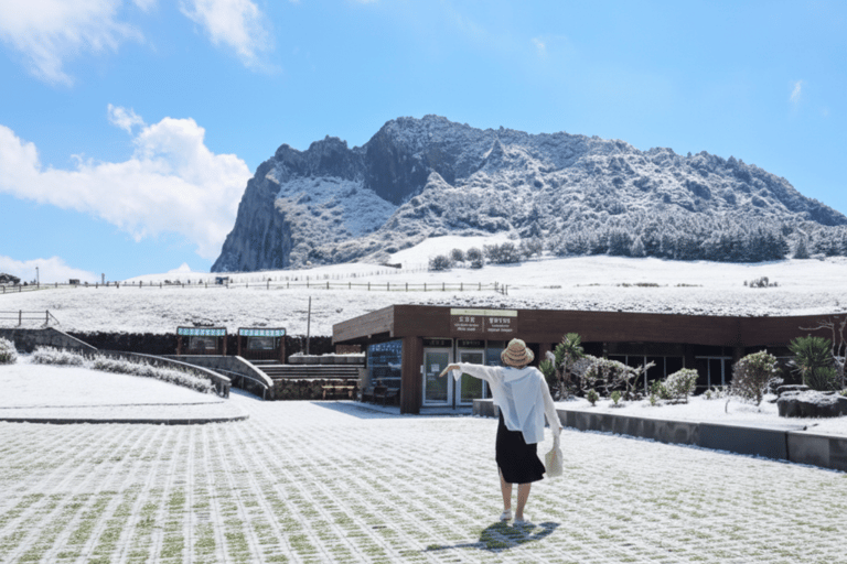 Jeju: UNESCO Sites Tour with Haenyeo Show(Eastern)