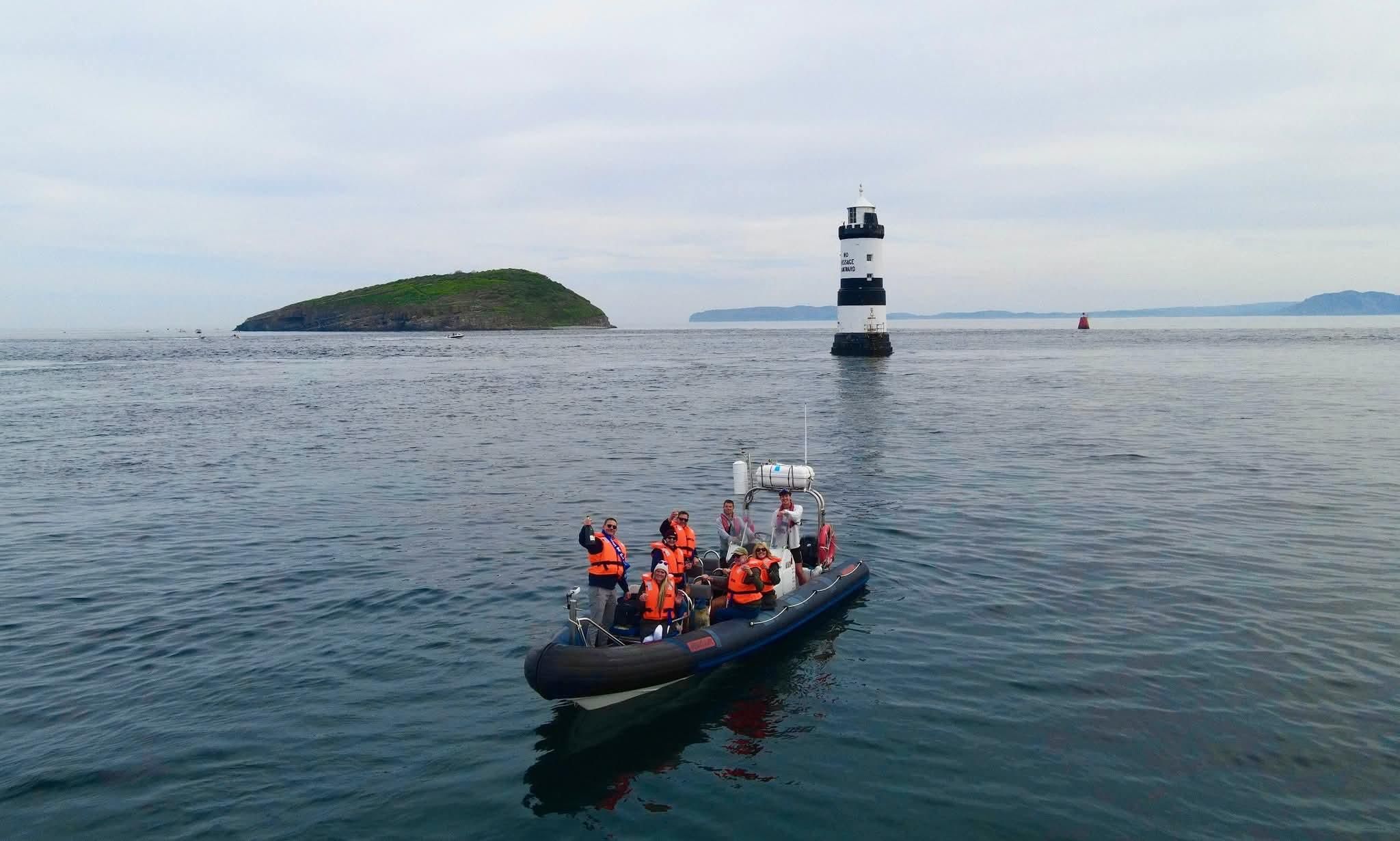 Conwy: Bootstour mit Wildtier-Abenteuer auf der Papageientaucher-Insel