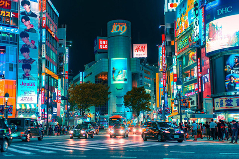 Tokyo tour privado de un día en coche con conductor inglés