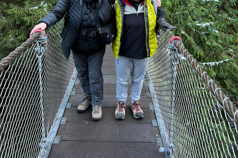 Vancouver: Regenwald-Wasserfall-Wanderung und Hängebrücke