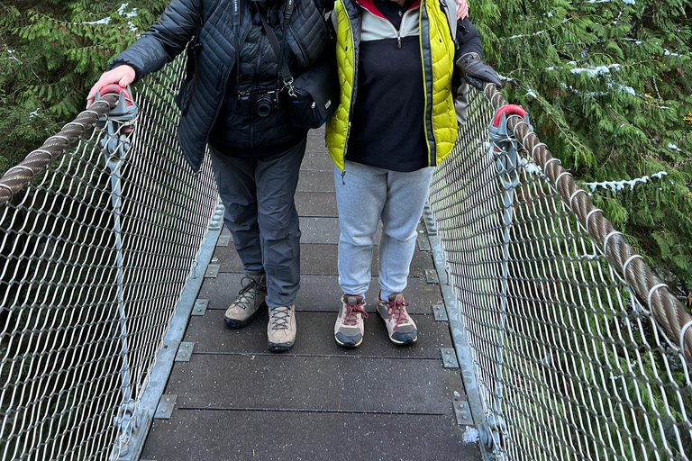 Vancouver: Regenwald-Wasserfall-Wanderung und Hängebrücke