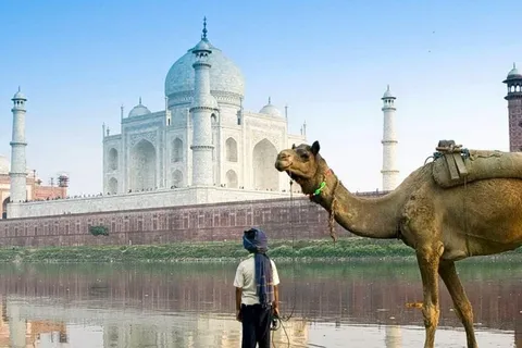 From Delhi: 5 Days Golden Triangle Delhi, Agra & Jaipur Tour