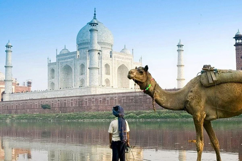 Agra: Taj Mahal: Tour guiado sem fila com opçõesDe Delhi: Tour do Taj Mahal e do Forte de Agra (carro particular e guia de turismo)