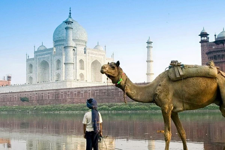 Agra: Taj Mahal: Tour guiado sem fila com opçõesDe Delhi: Tour do Taj Mahal e do Forte de Agra (carro particular e guia de turismo)