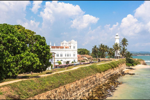 ️ Smooth Ride: Colombo Airport to South Coast Highlights ✨