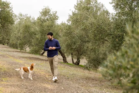 TOUR DEL ACEITE DE OLIVA Y EL VINO Campos ecológicos - 5 Vinos + 3Aceites de oliva