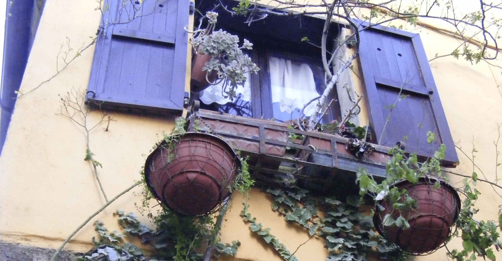 Mazzano Romano, Lezione di cucina e pranzo in campagna - Hizvo