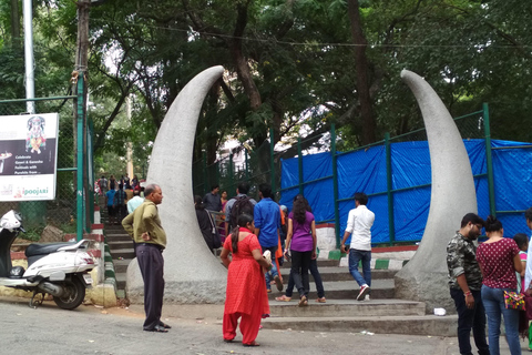 Tour turístico privado de medio día por Bangalore