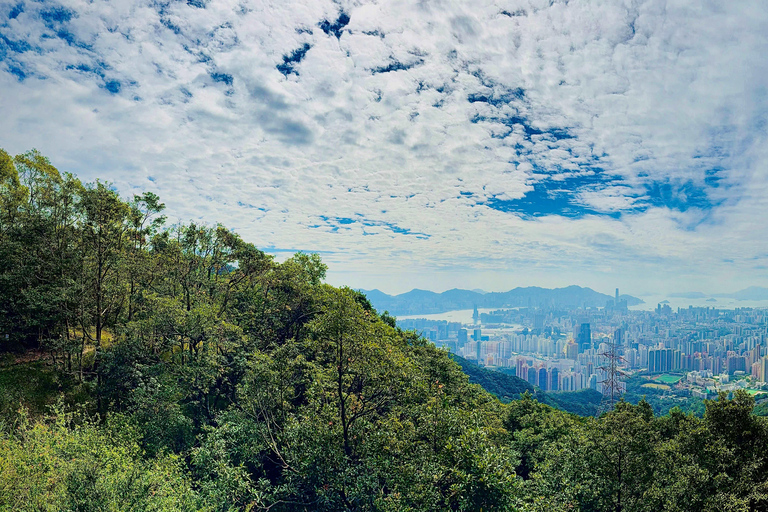 Hong Kong: Lion Rock Ridge Views Guided Hike (4 Hours)