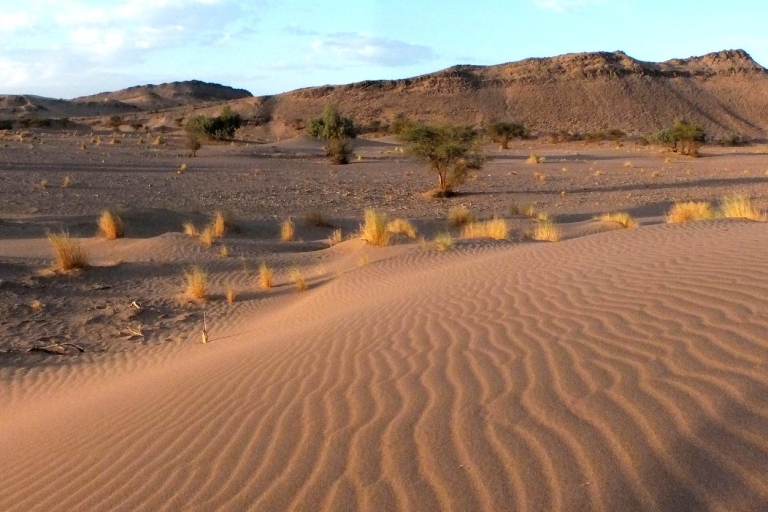 Van Agadir/Taghazout: Sahara-zandduinen met transfer