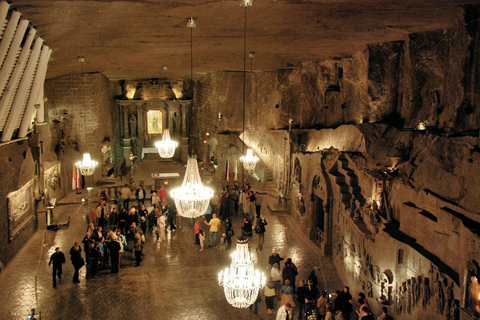 Z Krakowa: Muzeum Auschwitz i Kopalnia Soli w Wieliczce