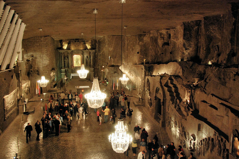 Vanuit Krakau: Auschwitz Museum en Wieliczka-zoutmijn