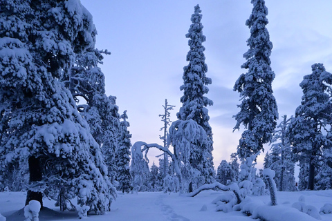 Saariselkä: Schneeschuhwandern Tour im Urho Kekkonen National Park4-stündige Tour inkl. Lagerfeuer