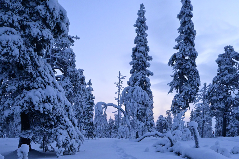 Saariselkä: Schneeschuhwandern Tour im Urho Kekkonen National Park4-stündige Tour inkl. Lagerfeuer