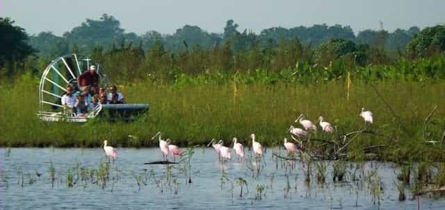 captain bobs everglades adventure