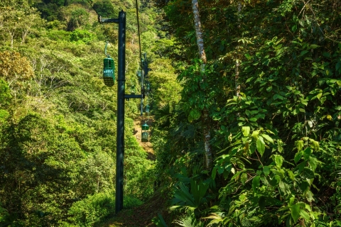 De San Jose: aventure 6 en 1 sur les ponts et les câbles de la forêt tropicale